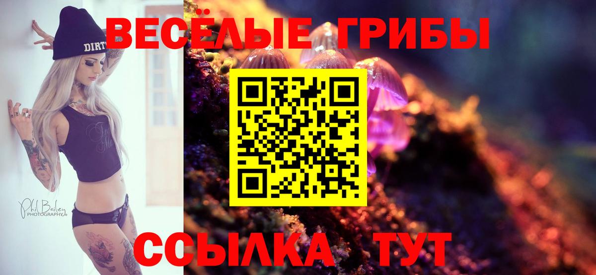 Элиста  Галлюциногенные грибы прущие грибы  Вход с VPN 