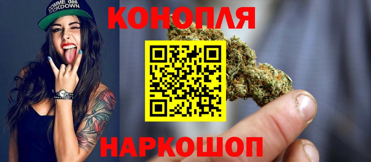 Бошки марихуана тримм  Вход с VPN  Марихуана SATIVA & INDICA  Марихуана SATIVA & INDICA  Элиста 